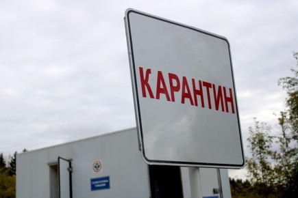 ВАЖНО. Информирую о ситуации, связанной с введением карантина по пастереллезу в Батыревском муниципальном округе