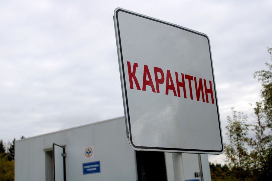 ВАЖНО. Информирую о ситуации, связанной с введением карантина по пастереллезу в Батыревском муниципальном округе