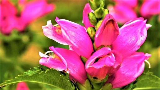 �������� ��������� ������: �����, ������� ���������� ���� � ����