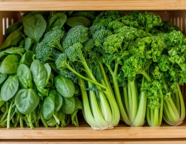 ��� ��������� ������ ������ �� �����: ������ ���-�������