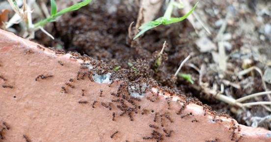 ��� ���������� ���������� � ��������� �� �������: ��������� ���� ������� ����������