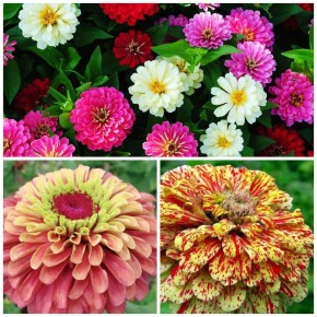 ����� ��������� �������� ��� ������ ���� � 2026 ����