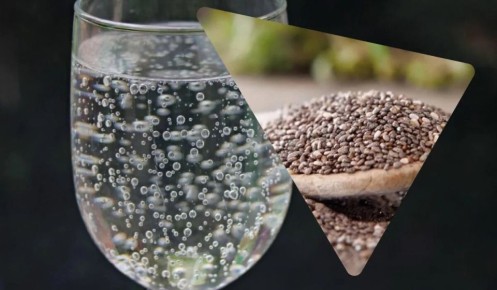 ������ ���: ��� ������� ������������ ������ ��� ��������