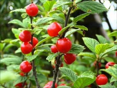 ����� ���������: ��� ��������� � ��������� � ������