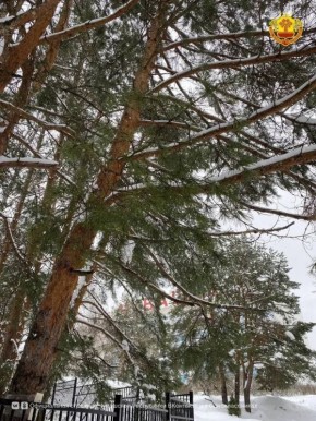 ������� � 17:46 �������� �������� �������������