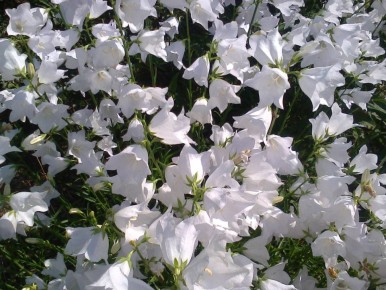 ���������� ������: ��� ������� ����������� ����� � ����