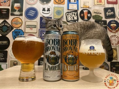 ����������� ������� ������������: ������ ������� �� ��������