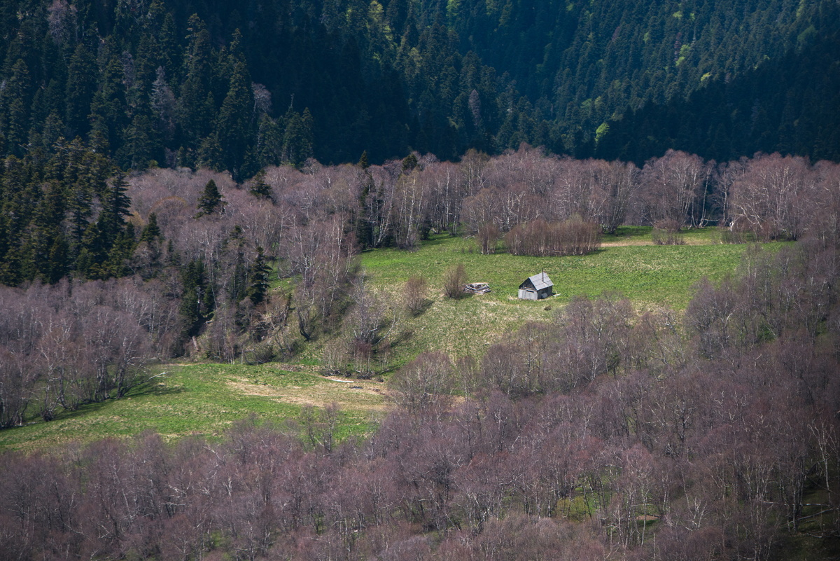 Заповедники России: новые правила для строительства объектов обороны и экономики
