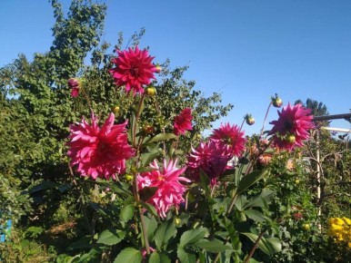 ������������ ���� �� ����������: ��� ��������� ����������� �� ��������� ��������