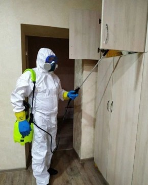 Как профессионалы справляются с неприятными запахами: советы и методы