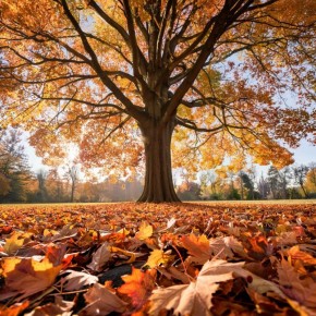 Листья как ценный ресурс: как создать компост для великолепного урожая