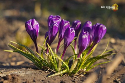 ���� ��������: ����� �������� � ���� �����