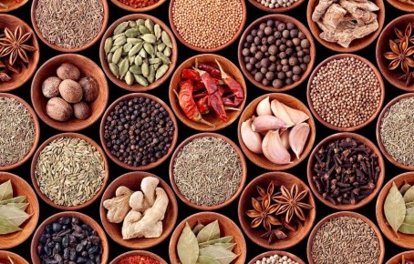 Лучшие специи для вашей кухни: откройте новые грани вкуса