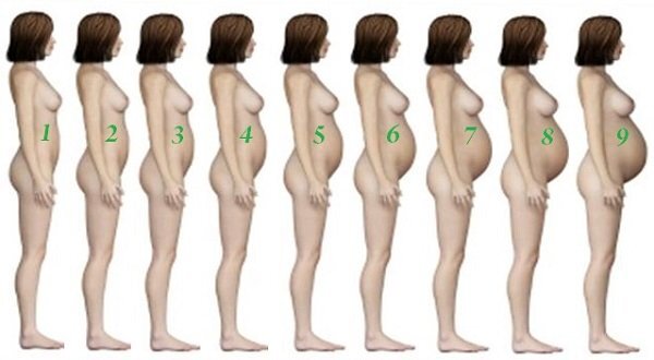 Как меняется живот при беременности: важные аспекты