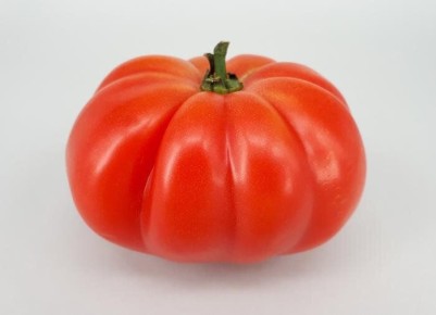 ������ ����� ������� ��� ��������� ������