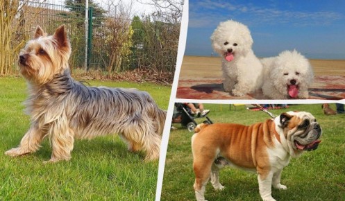 ����������� � ��������: ����� ������ ����� �������� �������� ��� ��������� �����