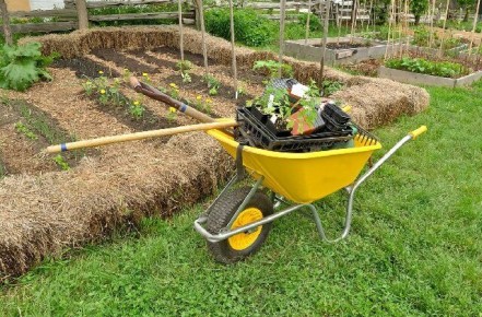 ��� ������� ������ � ���� ����� � ��������: 5 ������ ����