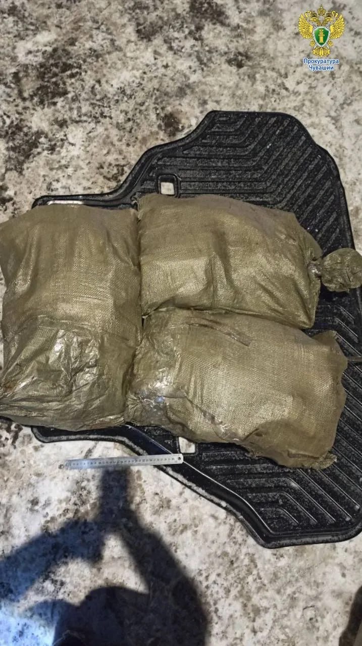 Перевозка 60 кг наркотиков пресечена в Чувашии: вынесен приговор Перевозка 60 кг наркотиков пресечена в Чувашии: вынесен приговор