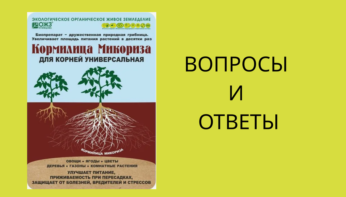 Микориза: стоит ли ее использовать или это пустая трата денег?