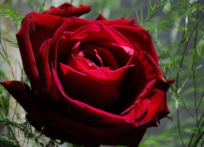 ���� � �� ������������� ������