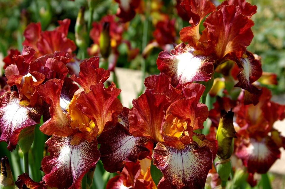 ����� � ����������: ��������� ���������� ������� �����