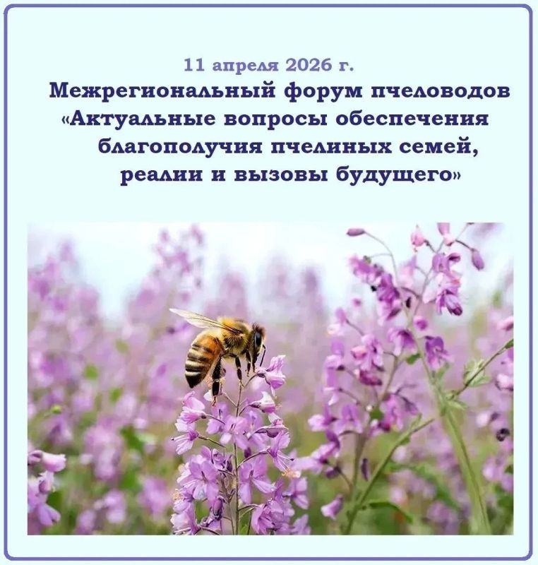 ��������� �������, ���������� ��� �� �����!