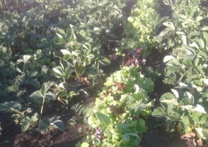 ��� ��������� �������� ��������� � ������� ����������