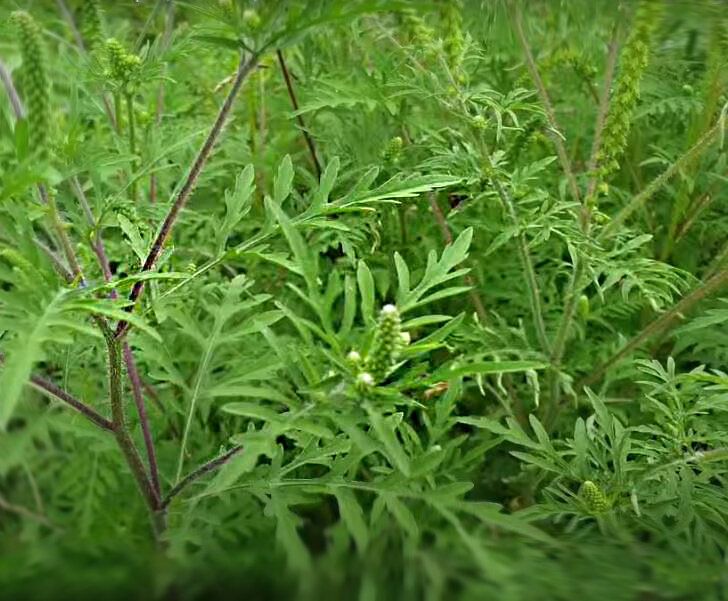 �������� �� ��������: ��� ������ ��� ������� ��������