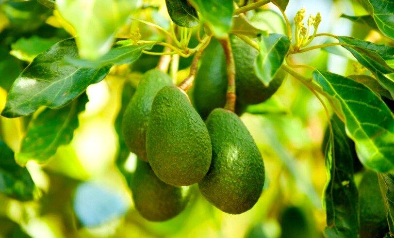 �������: ������ ���� ����� ��������� ��� ������ � ��� ��� �����������