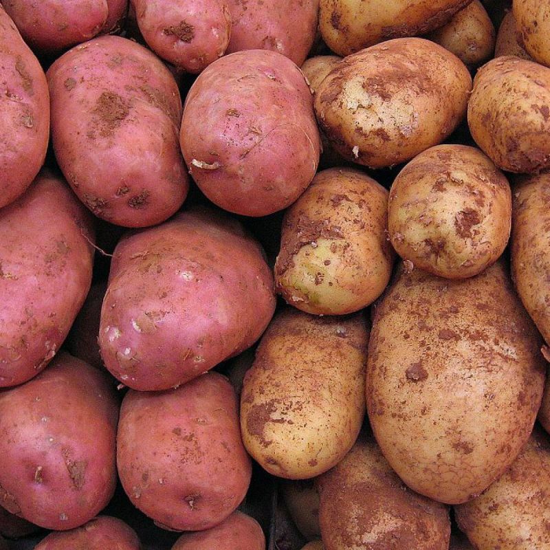 ��� ������� ��������� ��������� ��� ������ �������: ������ ����� �� 2025 ���