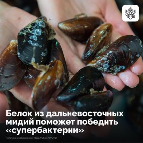 �������� ������� ������������� ���������� ����� ��������� ������ ����� �������� ������ � ����������� ����������