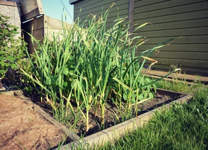 ��������� �������: ���������� ��������� � ��������� ��������