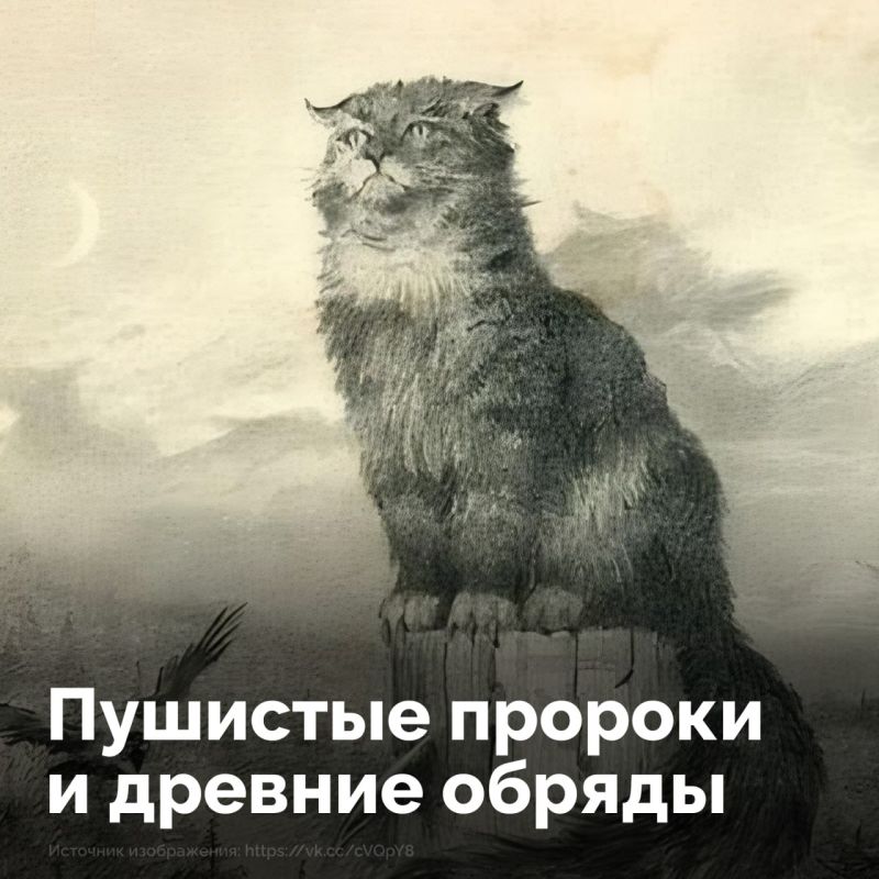 ��� �������� ������������� ������?