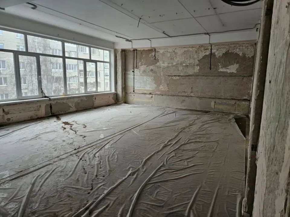 ������������ ������������ ���� ������������