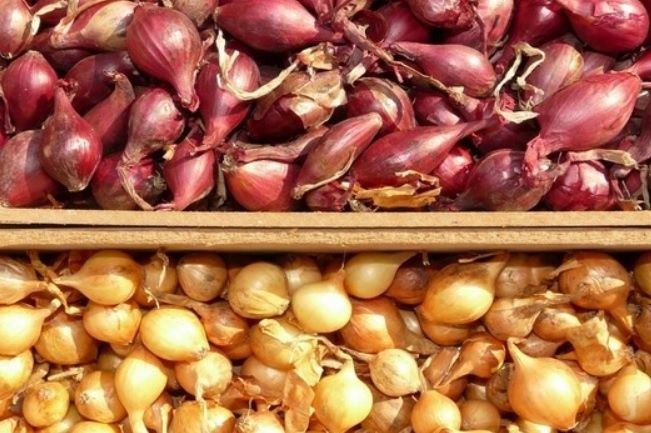 ��� ����������� ��� � ������ � �������: ������� ��������� ��� �������� ������