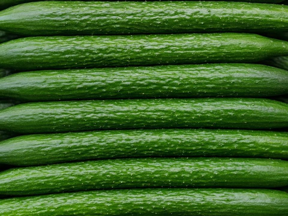 ������ ��������� ������ ����������� ������� � ��� �� ��������� ����������