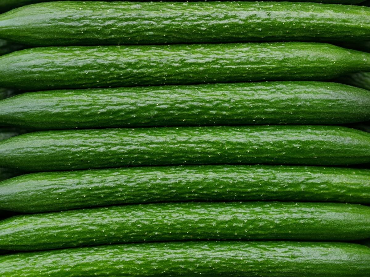 Почему китайские огурцы завоевывают россиян и как их правильно выращивать