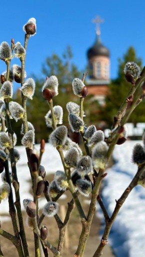 ���� ��������: ������� �������, �� ���� ���� ���������� � ������� ������������!