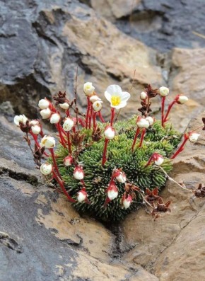 ���������� ����� �� ������: ��� ���������� �������� ����� ����������� ��� ���