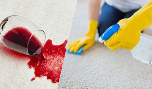 Проще простого: как сохранять ковёр чистым без лишних усилий