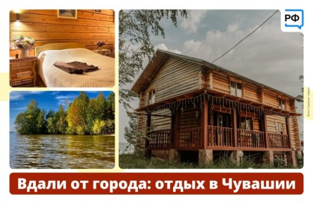 Вот бы сейчас в деревню к бабушке