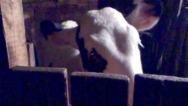 ����������� �����: ������ ��������� � ����� �� ��������������