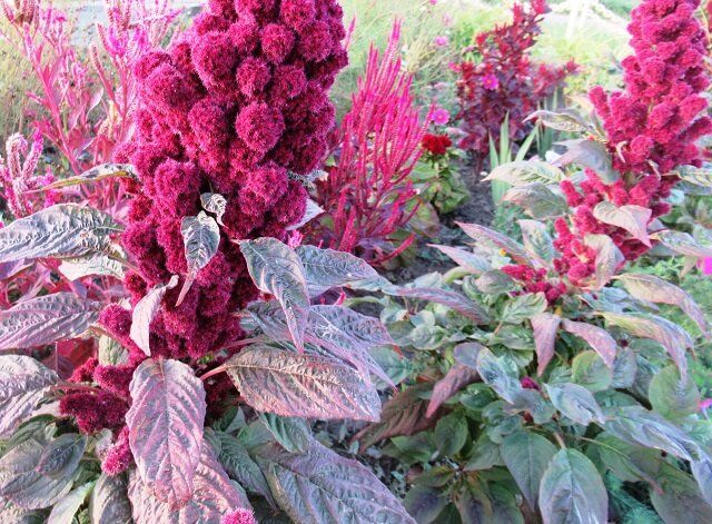 �������: ��� ��������� ������������ �������� ��� �������� � ������ �������