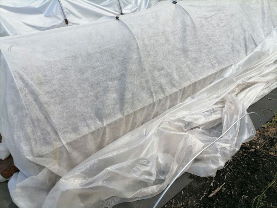 ��� ������� �������� ����� ����������: ������ ��� ���������