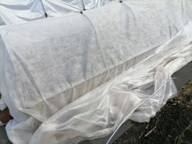 ��� ������� �������� ����� ����������: ������ ��� ���������