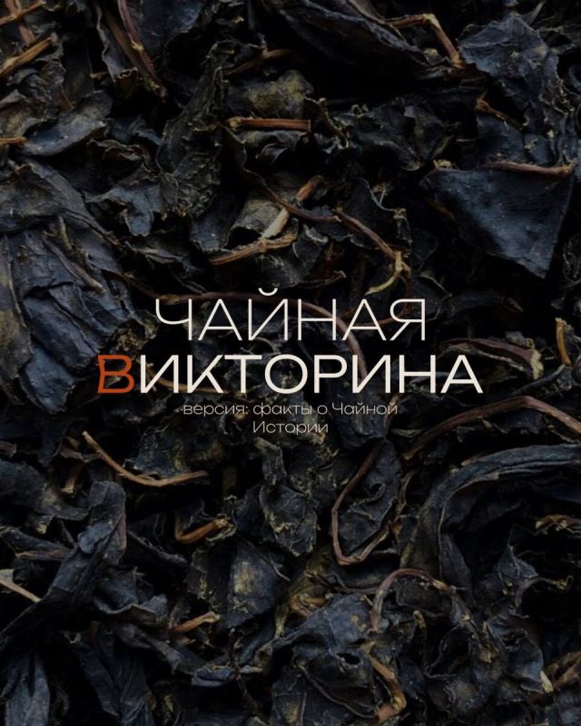 ��� ����� ������ �������: ������� ���� ������