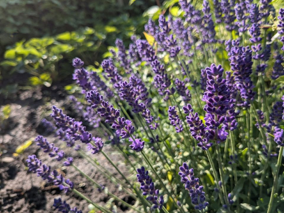 ��� �������������� � ������������ ������ �� ������� � ���������� ������?