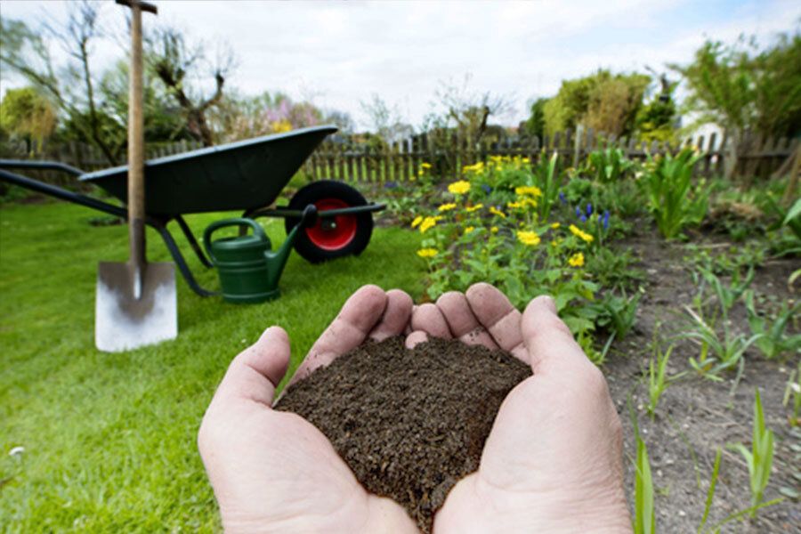 ��� ������ ����������� ����� ��� ��������� �������� ������