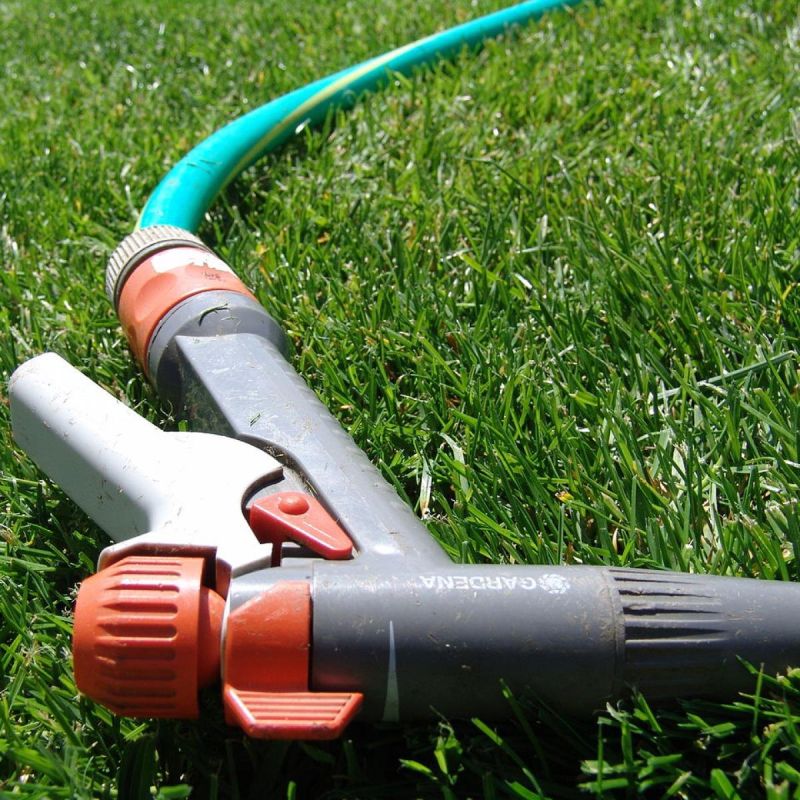 ��� ��������� ������ ���������: �������� ������ ��� ������� �������