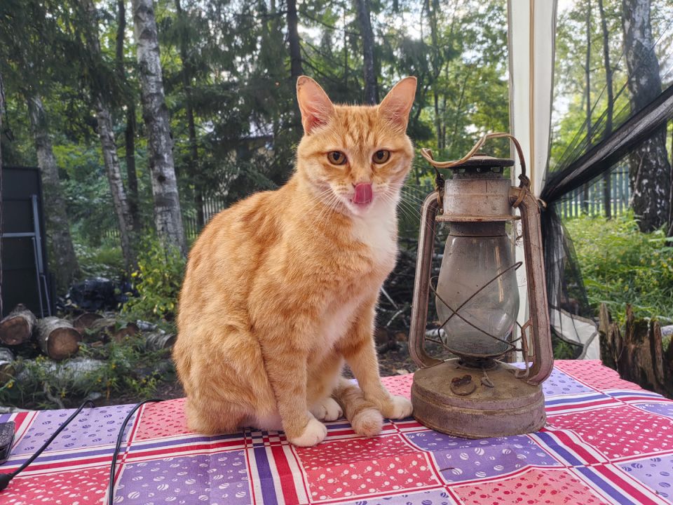 ��������� �� ��� �������: ��� ��� ����� �������� �������� �������